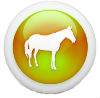 105035-3d-glossy-orange-orb-icon-animals-animal-horse1small