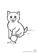 cat150px