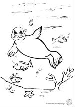 seal150px