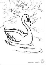swan150px